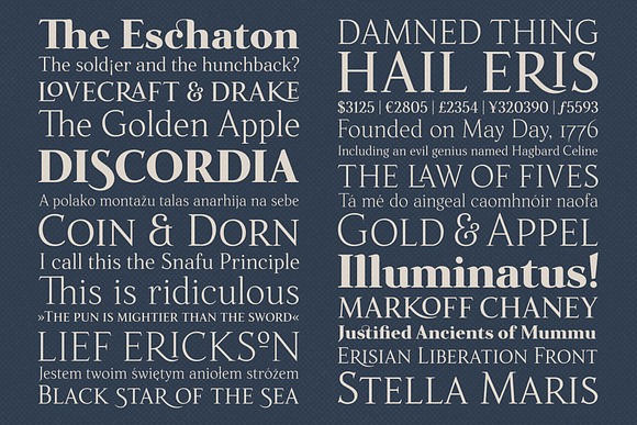 Fnord Roman Collection of 5 Fonts in Serif Fonts - product preview 2
