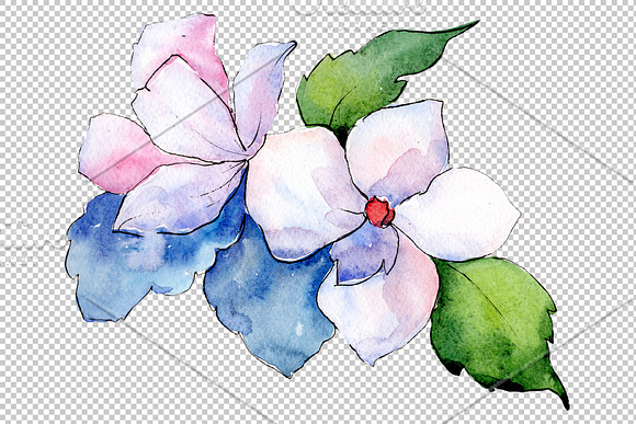 Bouquet Folk wisdom watercolor png in Illustrations - product preview 1