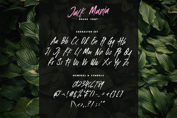 The JACK MANIA Brush Font in Script Fonts - product preview 6