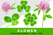 Clover leaves and flowers