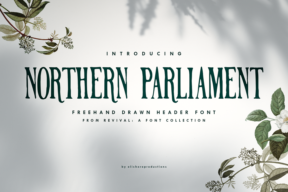 NORTHERN PARLIAMENT in Serif Fonts - product preview 8