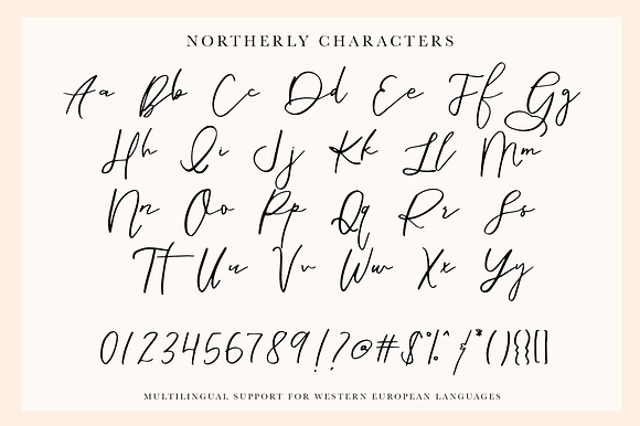 Northerly in Script Fonts - product preview 11