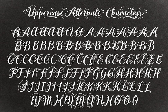 Monogram Script | Full Alphabet in Monogram Fonts - product preview 10