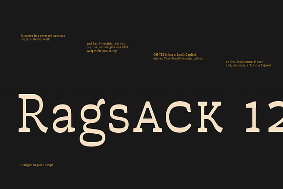 Hailgen Typeface in Serif Fonts - product preview 7