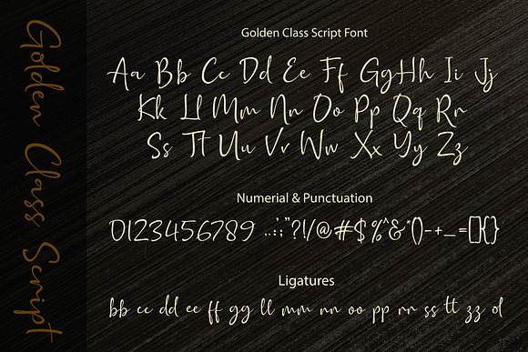 Golden Class // Elegant Font Duo in Display Fonts - product preview 12