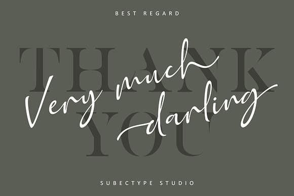 Golden Class // Elegant Font Duo in Display Fonts - product preview 14