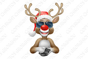 Cool Christmas Reindeer in Santa Hat