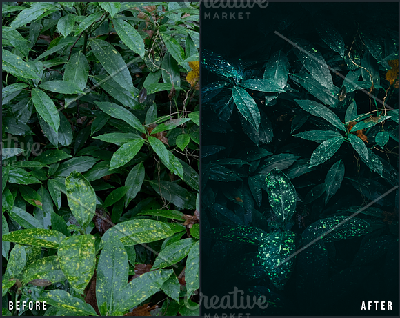 27 Landscape Lightroom Presets in Add-Ons - product preview 3
