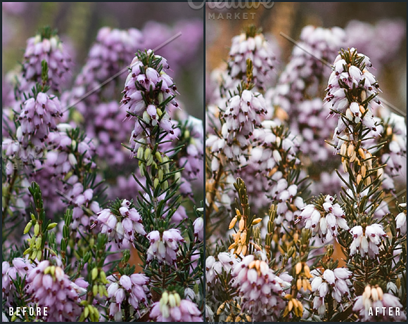 27 Landscape Lightroom Presets in Add-Ons - product preview 6