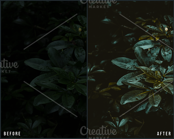 27 Landscape Lightroom Presets in Add-Ons - product preview 9