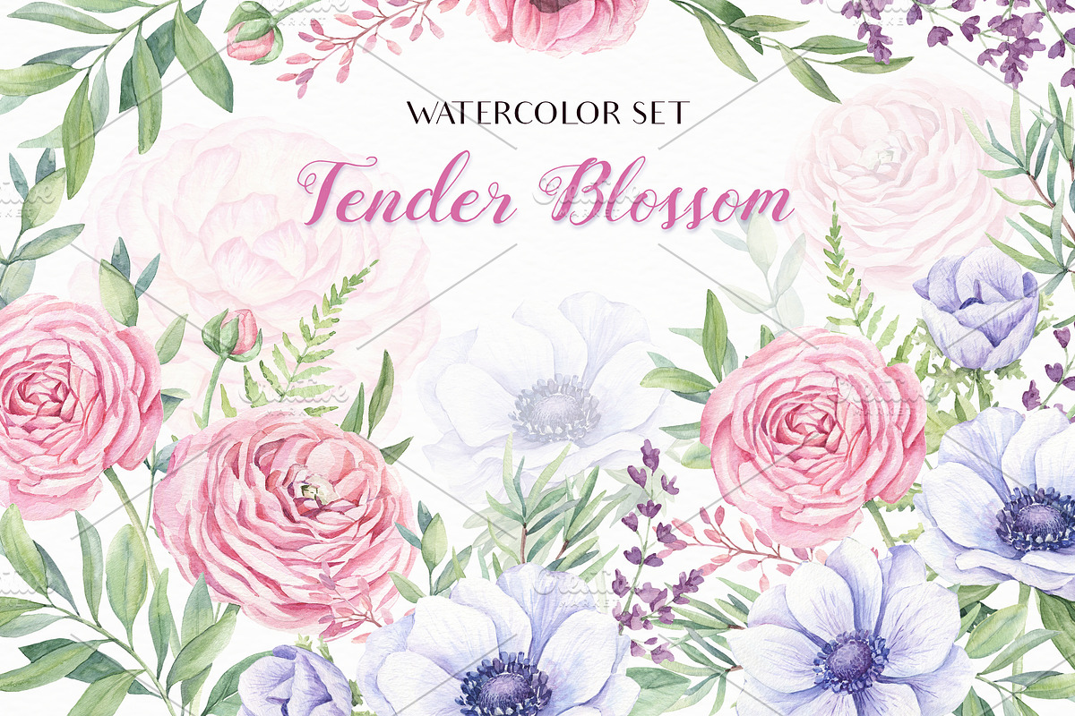 SALE! Tender Blossom in Illustrations - product preview 8