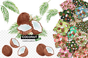 Tropical coconut set
