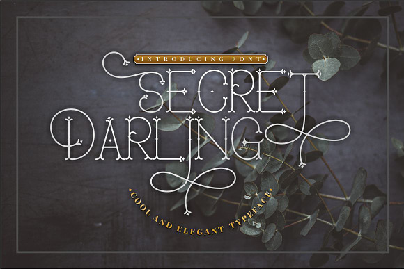 Secret Darling in Display Fonts - product preview 1