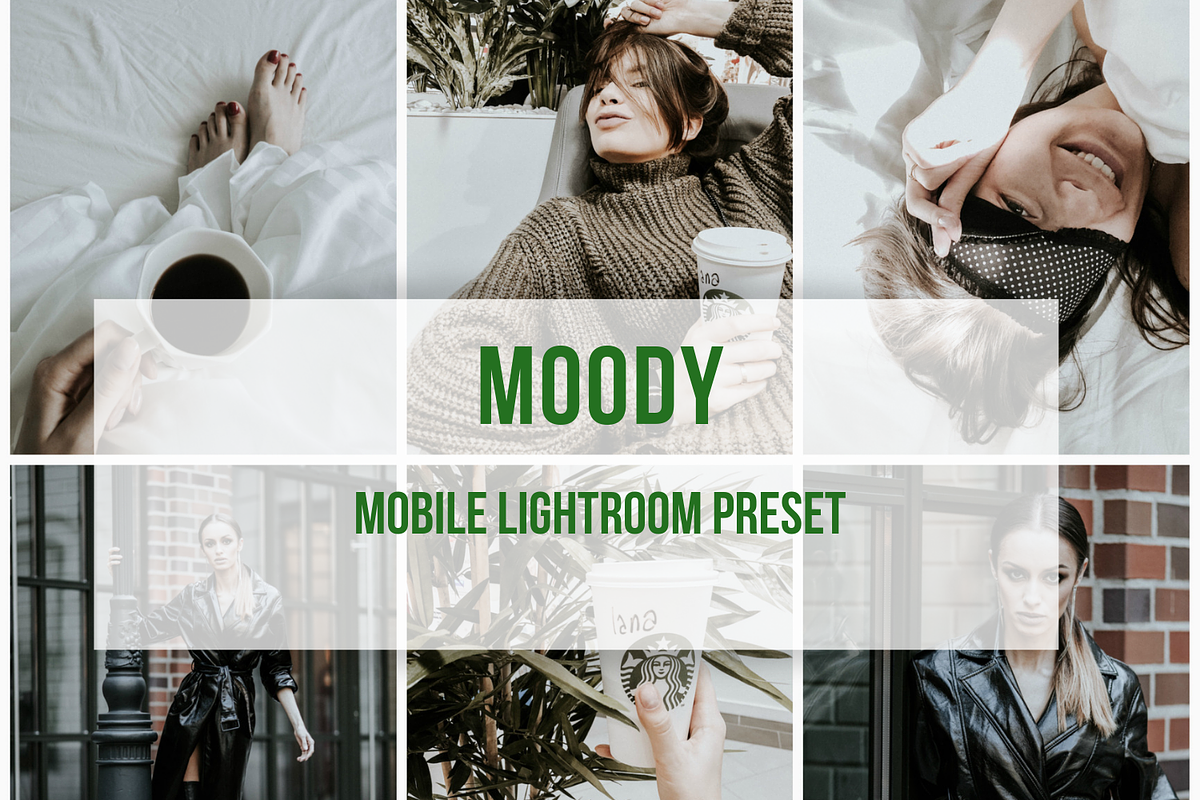 Lightroom Mobile Preset Moody in Add-Ons - product preview 8