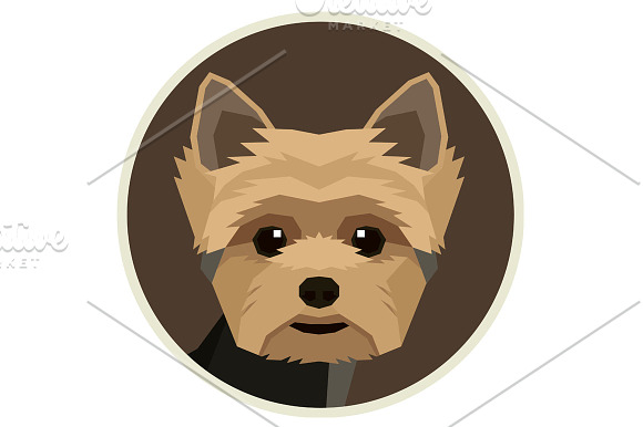 Dog breeds Yorkshire terrier in Illustrations - product preview 2