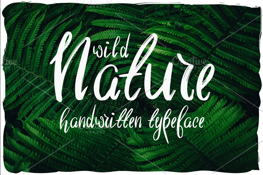 Wild Nature Script Typeface in Display Fonts - product preview 8