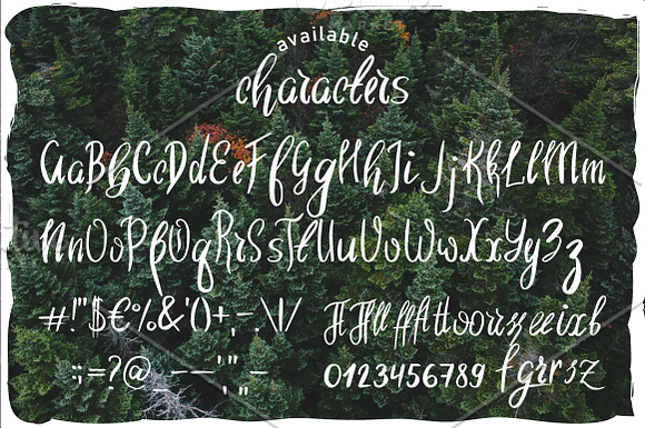 Wild Nature Script Typeface in Display Fonts - product preview 2