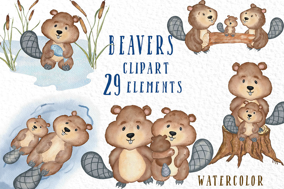 Watercolor animals Beavers clipart