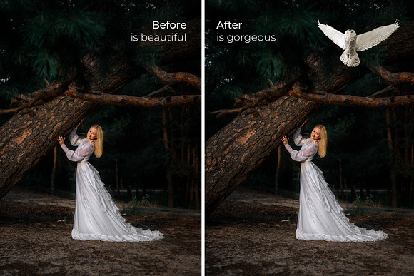 39 Owl Photo Overlays in Add-Ons - product preview 2