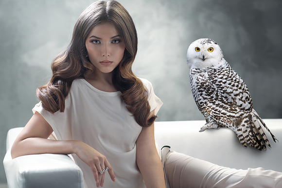 39 Owl Photo Overlays in Add-Ons - product preview 6