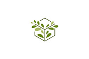 tree leaf box cube logo vector icon