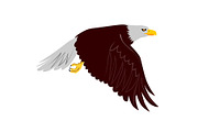 Bald Eagle Flying Wings Down Retro