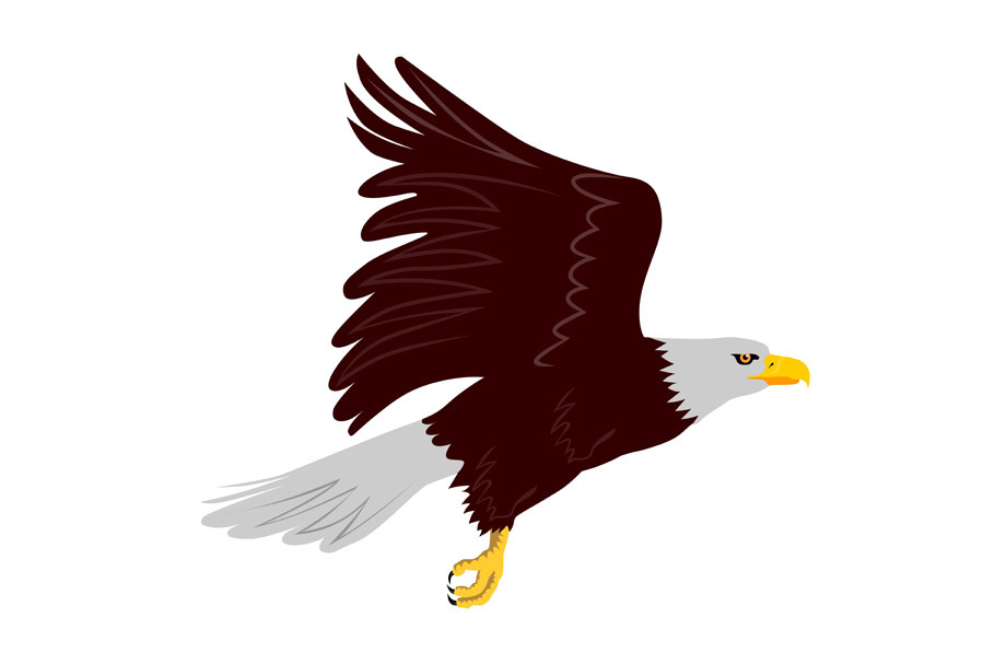 Bald Eagle Flying Side retro