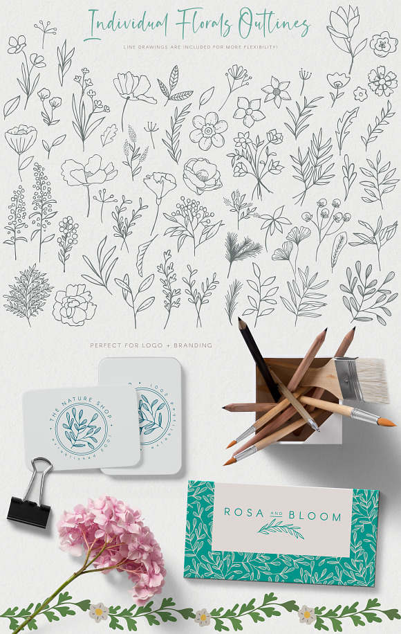 Floral Illustrations and Patterns in Illustrations - product preview 3