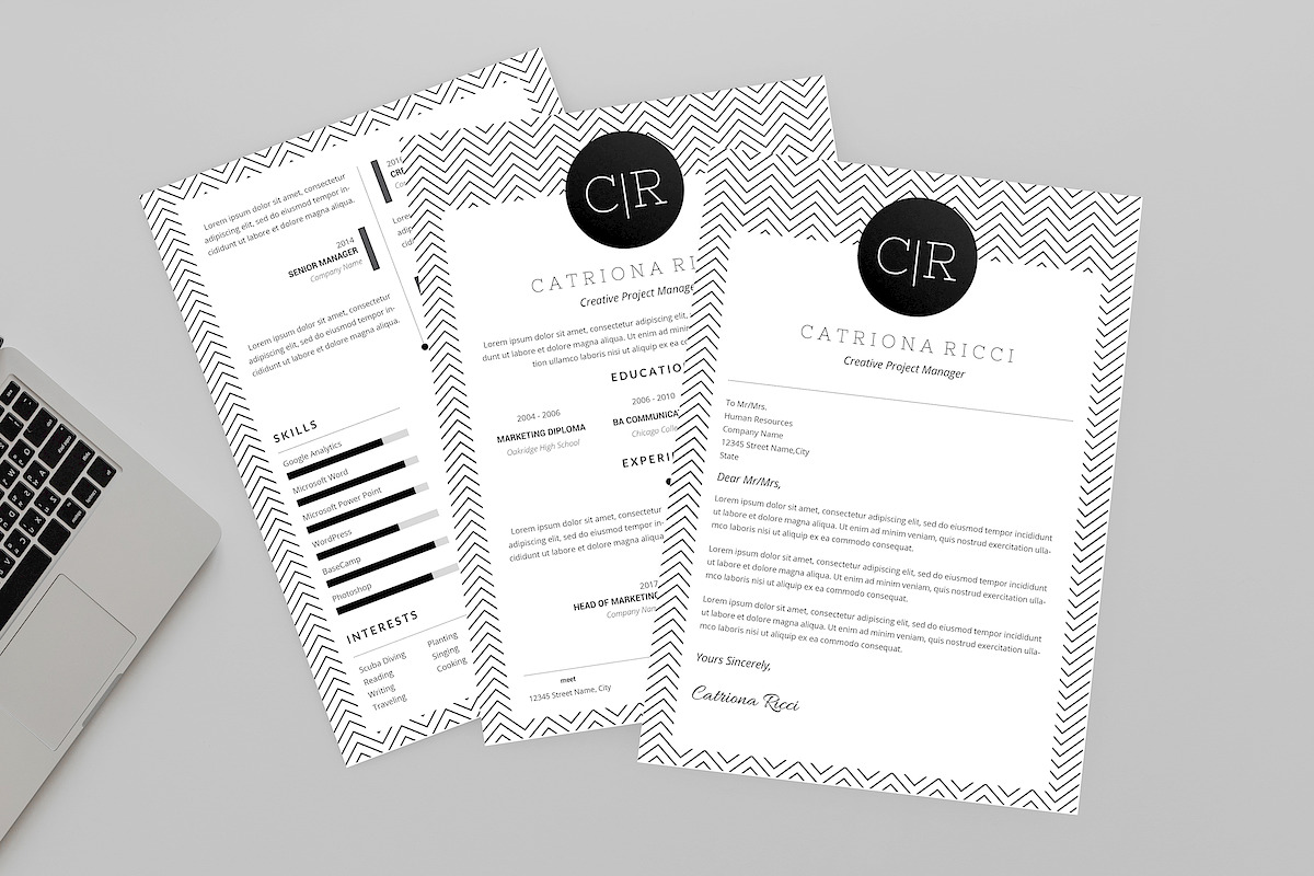 Carry Resume Designer in Resume Templates - product preview 8