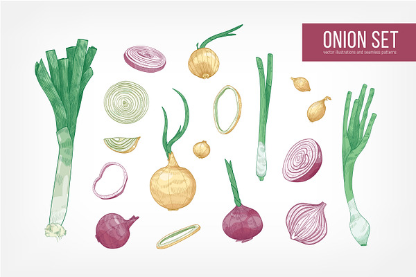 Onion set and seamless
