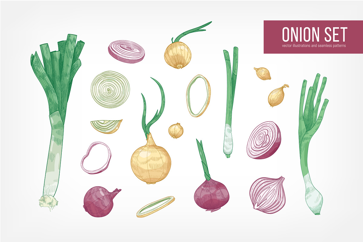 Onion set and seamless in Illustrations - product preview 8