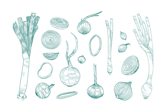 Onion set and seamless in Illustrations - product preview 2