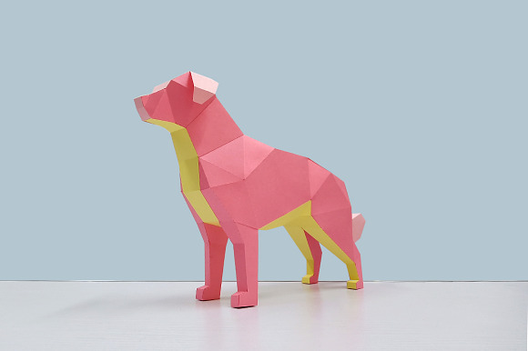 DIY Golden Retriever - 3d papercraft in Templates - product preview 4