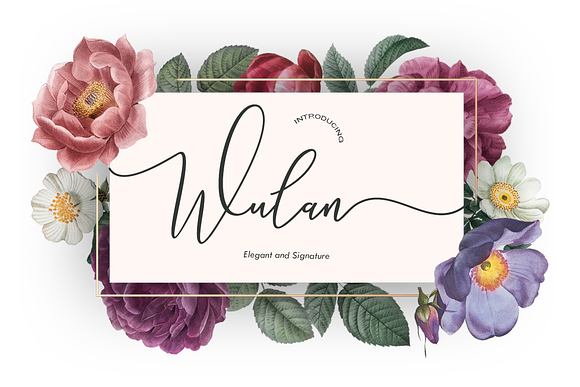 Wulan Script 4 Style in Script Fonts - product preview 5
