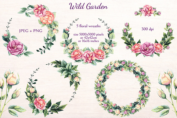 Wild Garden in Illustrations - product preview 2