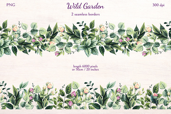 Wild Garden in Illustrations - product preview 4
