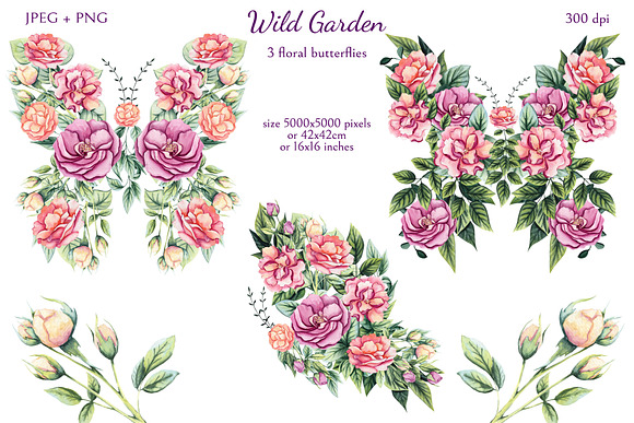 Wild Garden in Illustrations - product preview 5