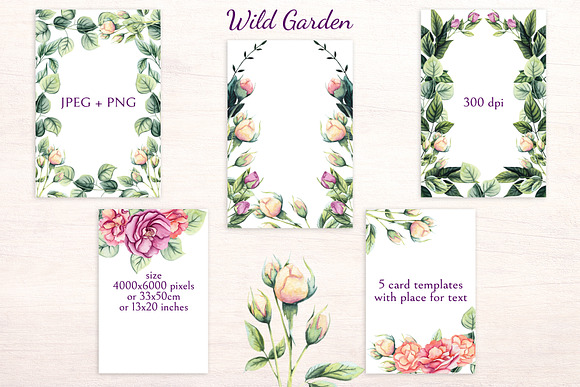 Wild Garden in Illustrations - product preview 6