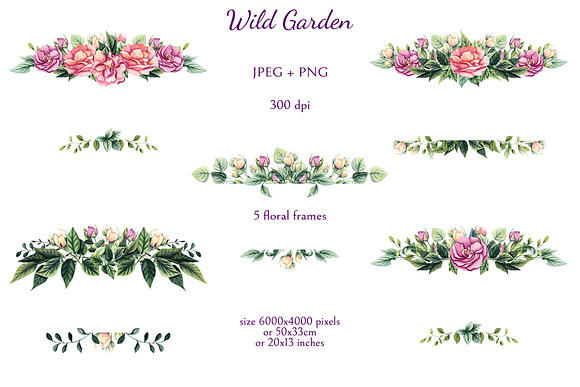 Wild Garden in Illustrations - product preview 7