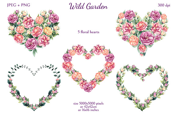 Wild Garden in Illustrations - product preview 9