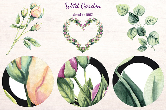 Wild Garden in Illustrations - product preview 10