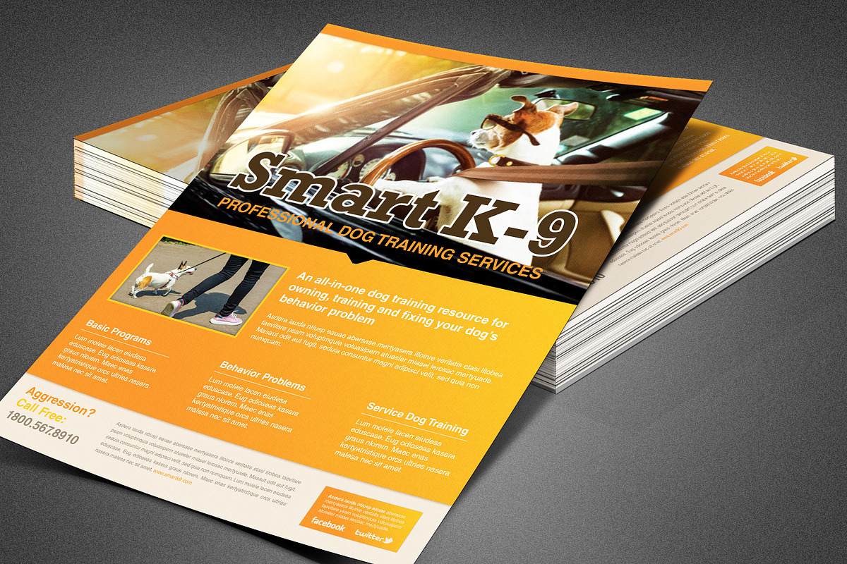 Smart K-9 Dog Trainer Flyer in Flyer Templates - product preview 8