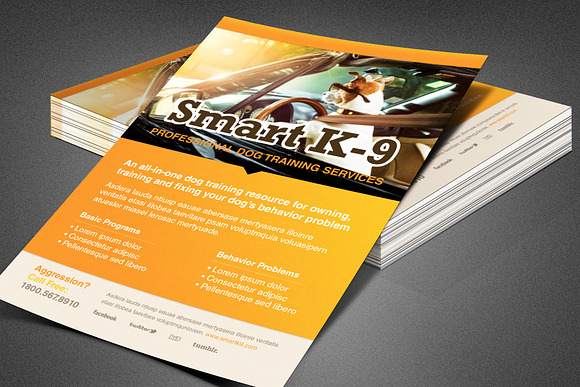 Smart K-9 Dog Trainer Flyer in Flyer Templates - product preview 1