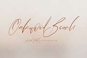 Oakwood Beach Script Font
