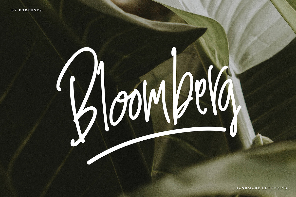 Bloomberg. in Display Fonts - product preview 8