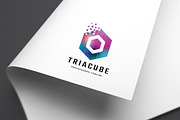 Trial Cube Logo