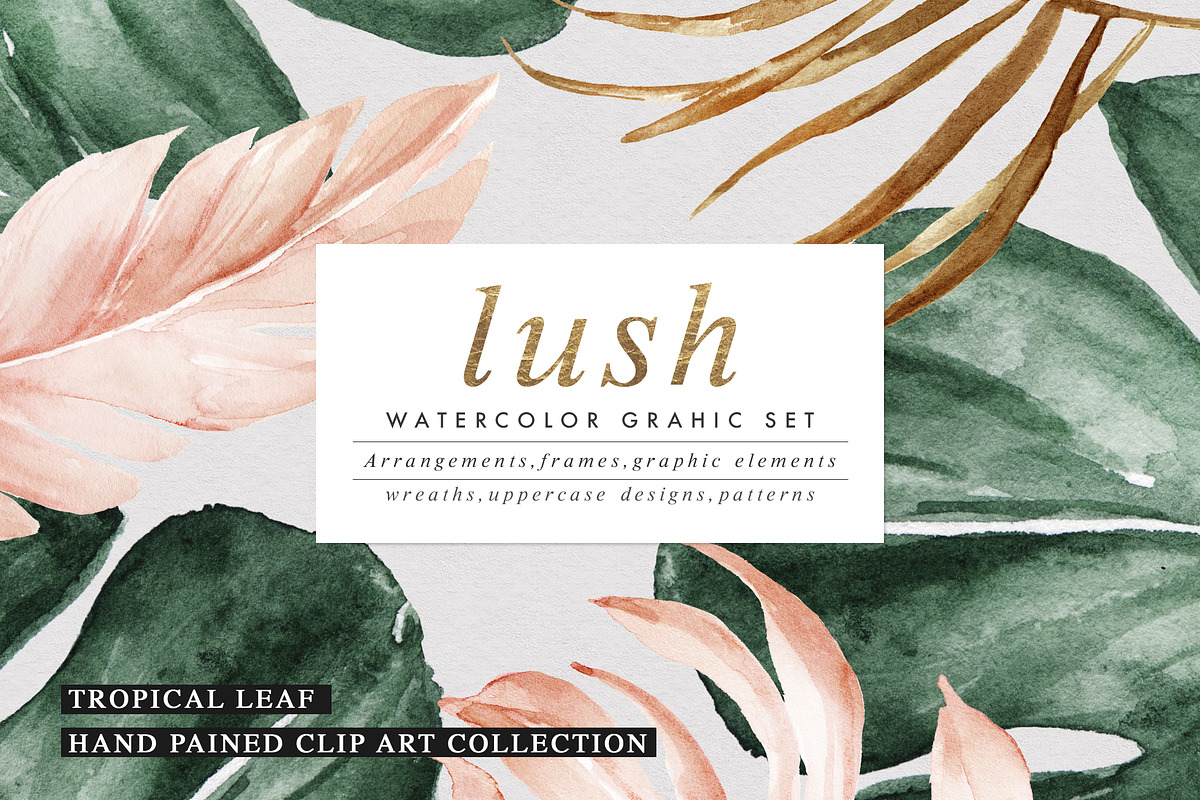Lush-Summer Graphic Set in Illustrations - product preview 8