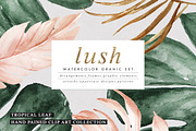 Lush-Summer Graphic Set
