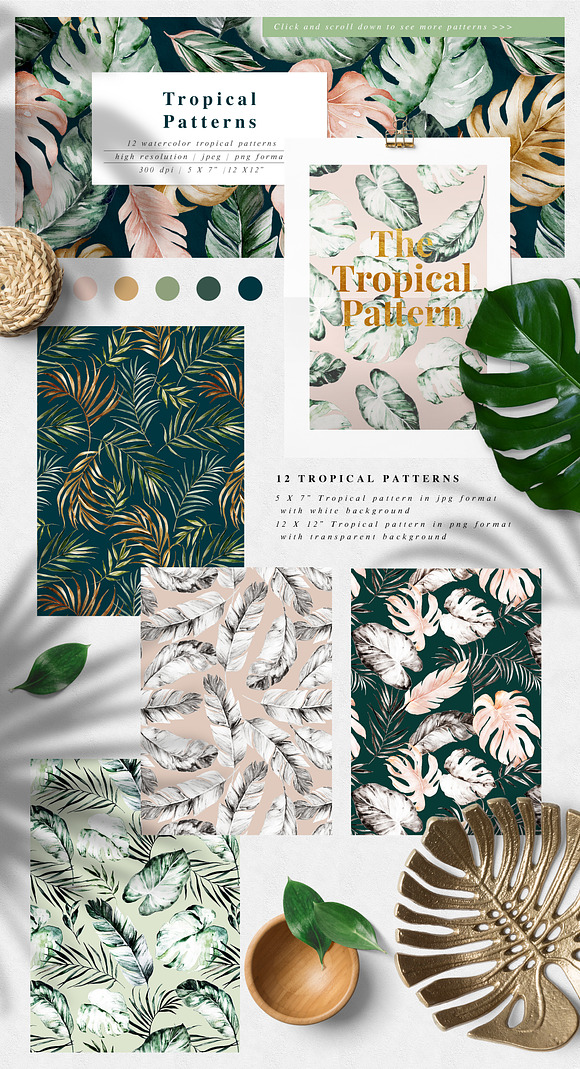 Lush-Summer Graphic Set in Illustrations - product preview 4
