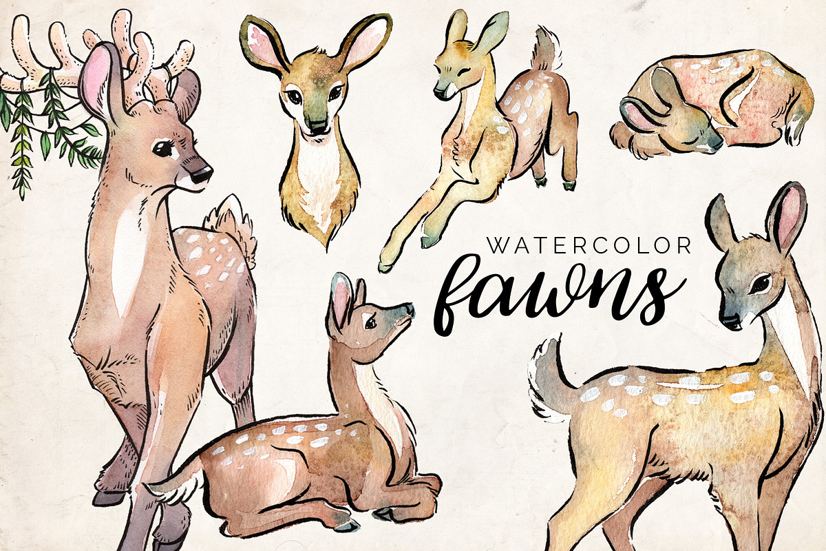 Watercolor Fawns Clipart Set in Illustrations - product preview 8